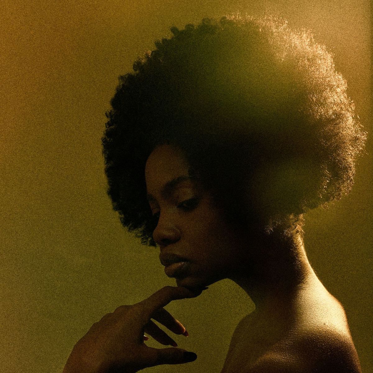 A woman in profile with a full, rounded type 4 afro, lit by warm golden light